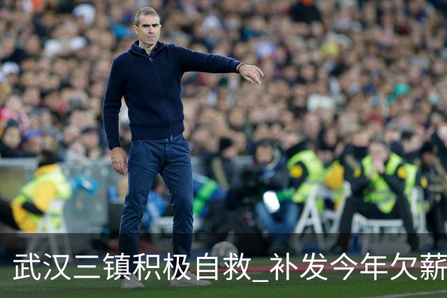 武汉三镇积极自救 补发今年欠薪 准入大概率会解决